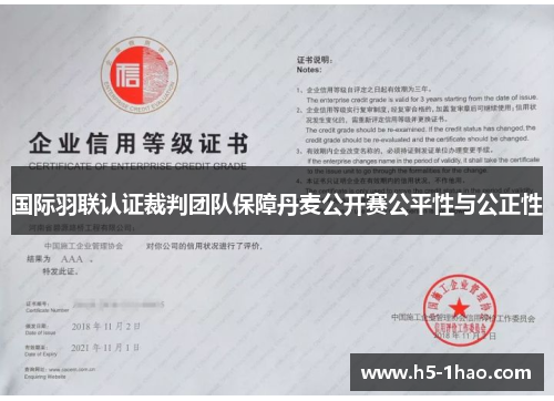 国际羽联认证裁判团队保障丹麦公开赛公平性与公正性
