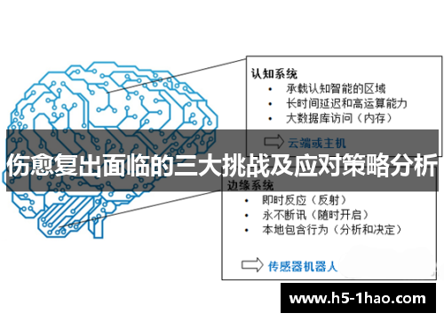 伤愈复出面临的三大挑战及应对策略分析
