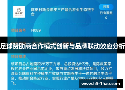 足球赞助商合作模式创新与品牌联动效应分析