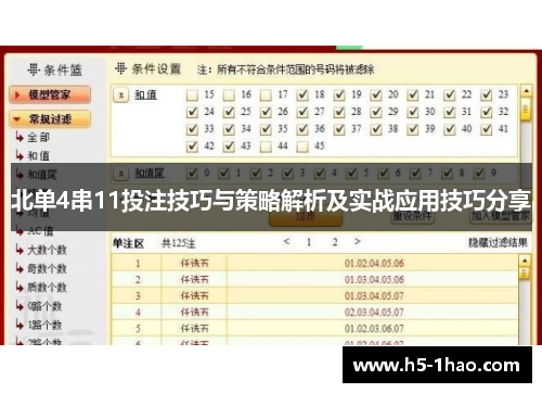 北单4串11投注技巧与策略解析及实战应用技巧分享